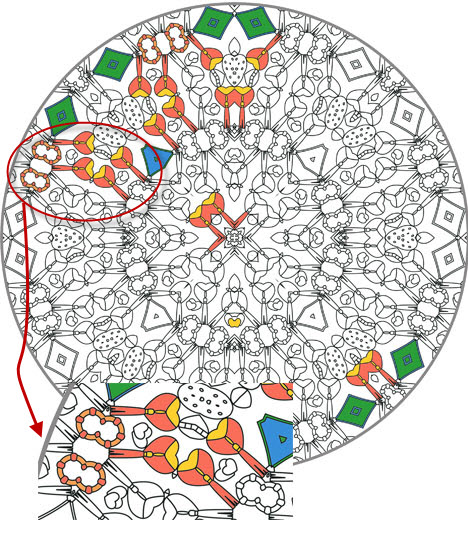 Sexy Mandalas